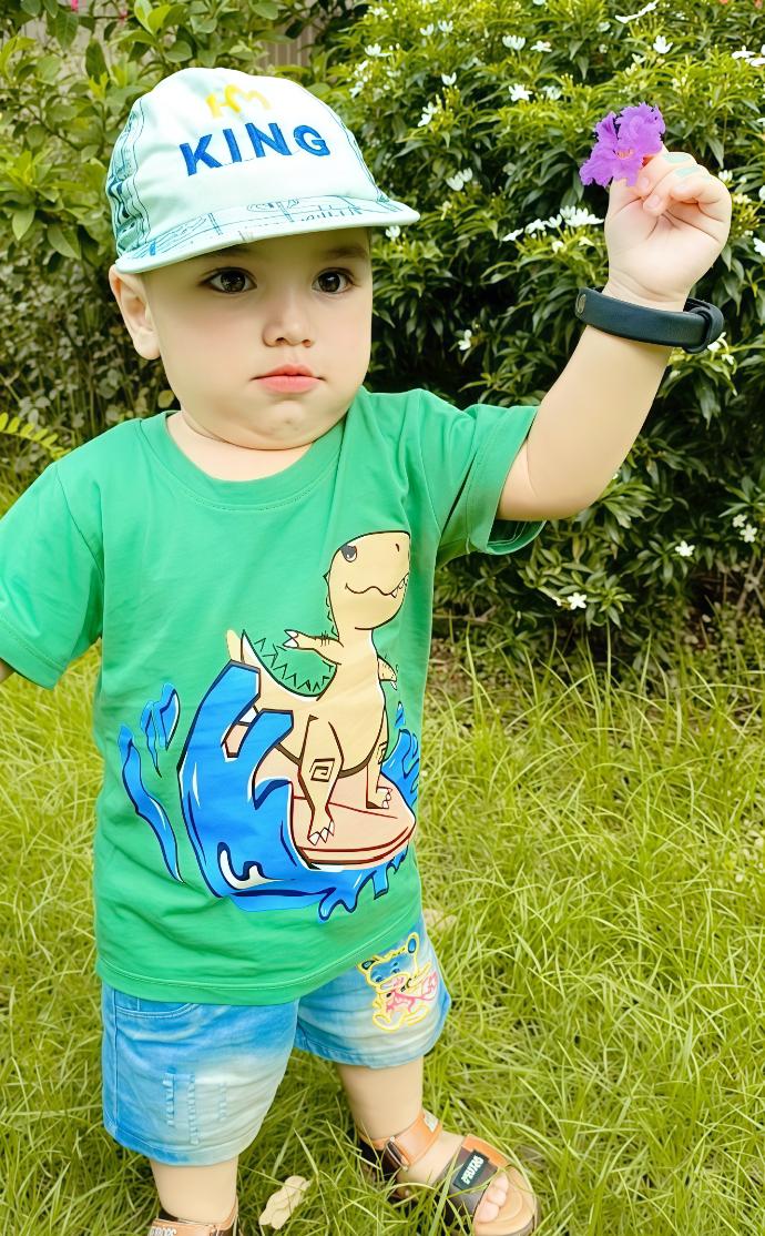 Dinosaur Water Skateboard Print Tee Light Green Colour Printed T Shirts Kids 100% Cotton Tees