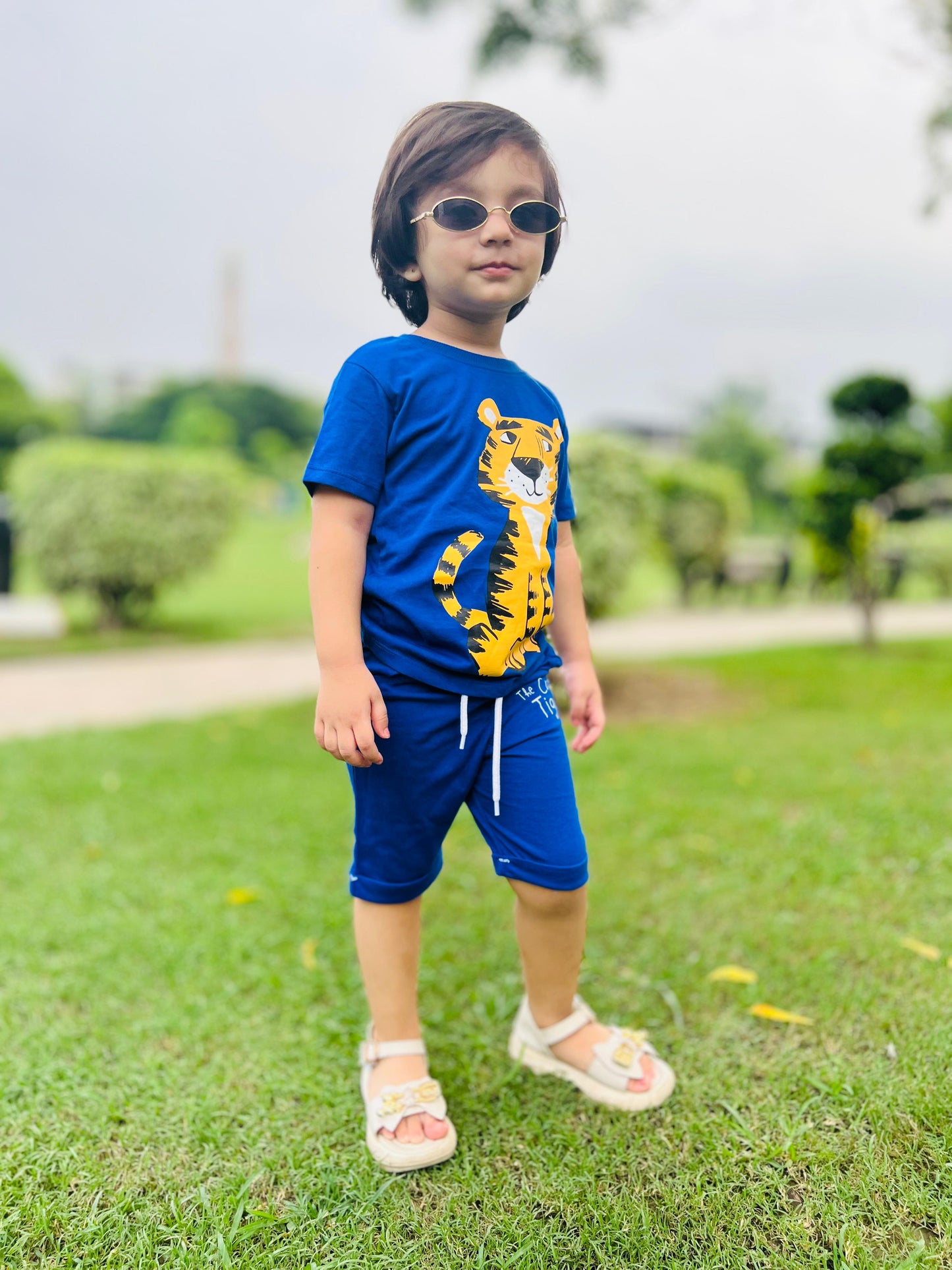 Tiger Print Unisex Tee Blue Colour Printed T Shirts Kids 100% Cotton Tees OR Shorts