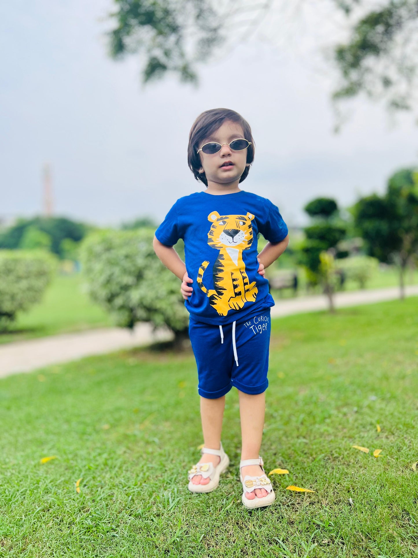 Tiger Print Unisex Tee Blue Colour Printed T Shirts Kids 100% Cotton Tees OR Shorts