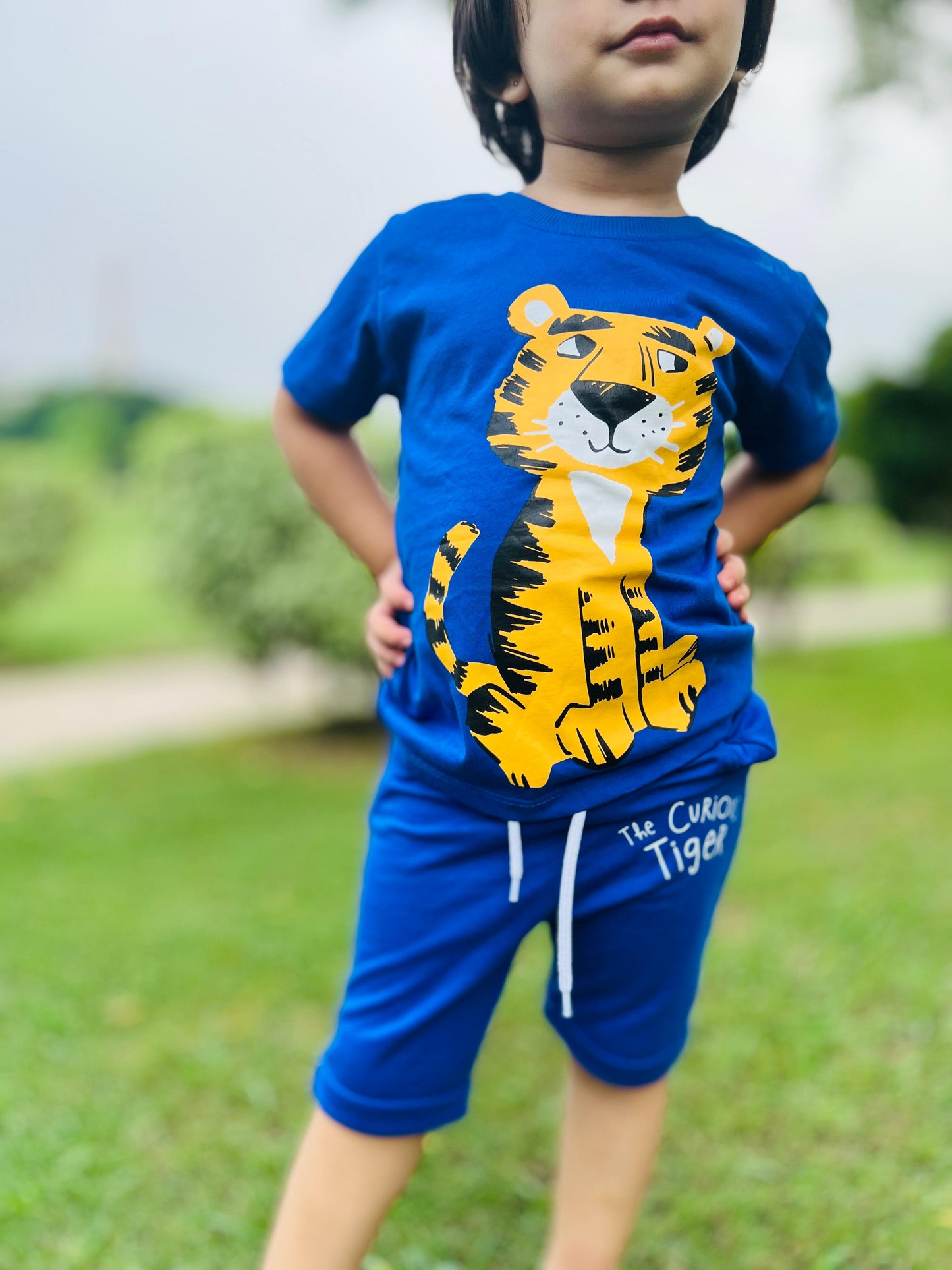 Tiger Print Unisex Tee Blue Colour Printed T Shirts Kids 100% Cotton Tees OR Shorts
