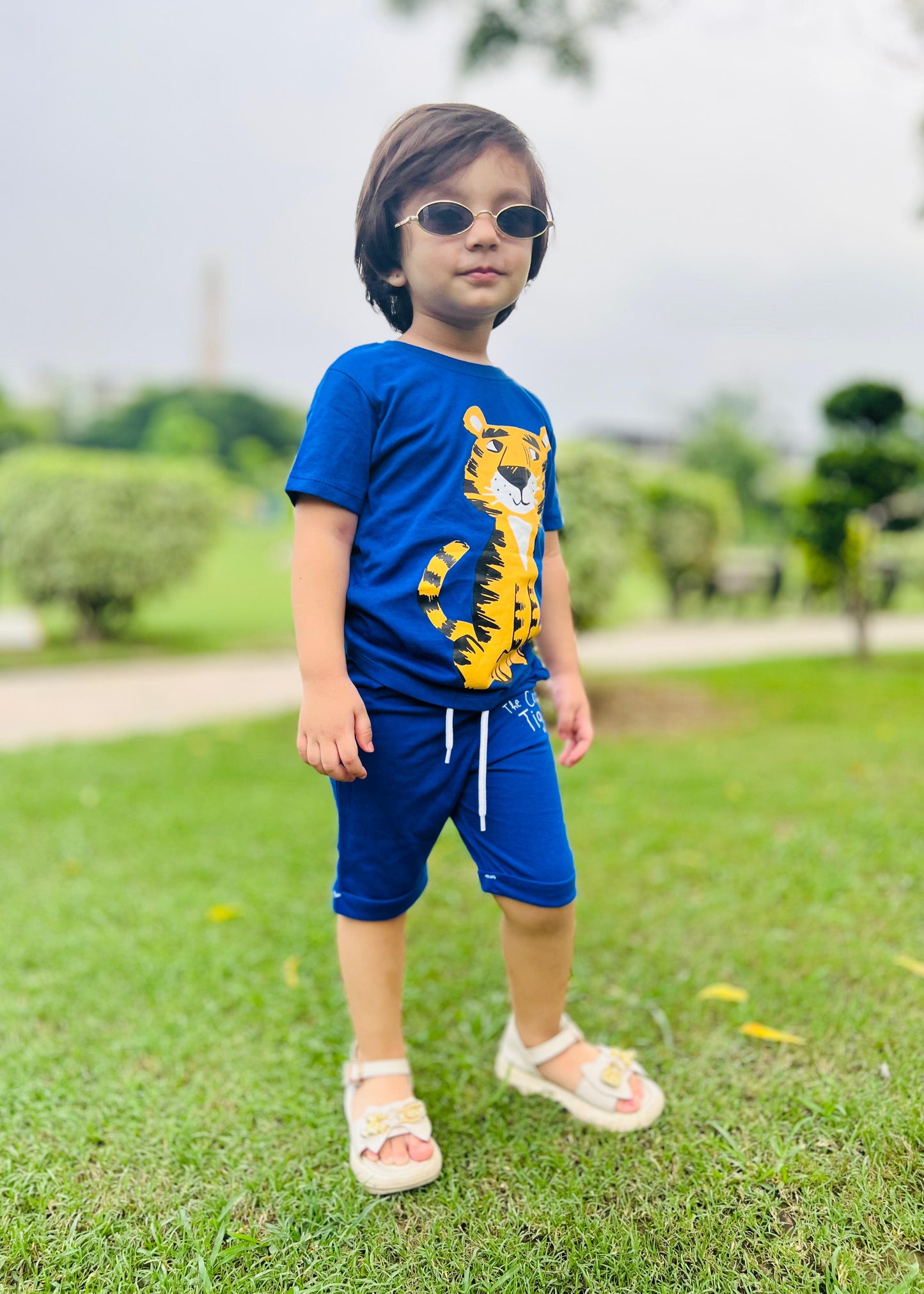 Child wearing a blue shirt with a tiger design, holding a plush tiger toy outdoors.